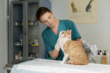 TERION SIA, veterinārā klīnika un aptieka