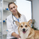 TERION SIA, veterinārā klīnika un aptieka