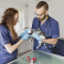 TERION SIA, veterinārā klīnika un aptieka